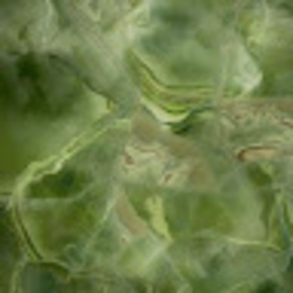 Meet your Posher, Karen - Picture 1 of 1